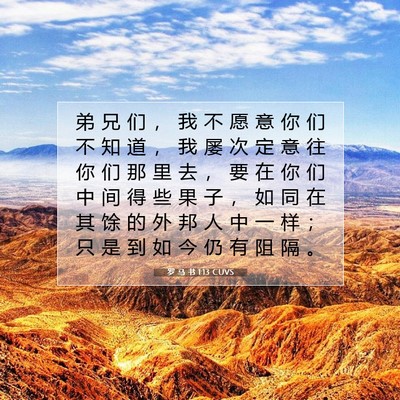 Picture 07 - 罗 马 书 1:13 CUVS - 弟 兄 们 ， 我 不 愿 意 你 们 不 知 - Bible Verse Picture
