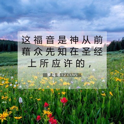 Picture 07 - 罗 马 书 1:2 CUVS - 这 福 音 是 神 从 前 藉 众 先 知 在 - Bible Verse Picture