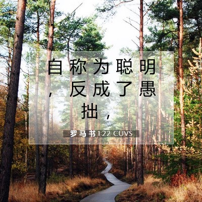 Picture 07 - 罗 马 书 1:22 CUVS - 自 称 为 聪 明 ， 反 成 了 愚 拙 - Bible Verse Picture