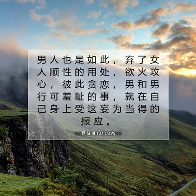 Picture 07 - 罗 马 书 1:27 CUVS - 男 人 也 是 如 此 ， 弃 了 女 人 顺 - Bible Verse Picture