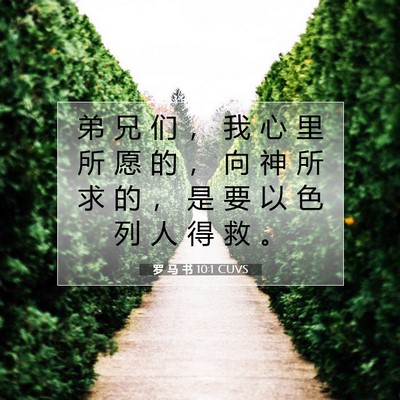 Picture 07 - 罗 马 书 10:1 CUVS - 弟 兄 们 ， 我 心 里 所 愿 的 ， 向 - Bible Verse Picture