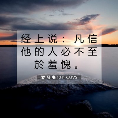 Picture 07 - 罗 马 书 10:11 CUVS - 经 上 说 ： 凡 信 他 的 人 必 不 至 - Bible Verse Picture