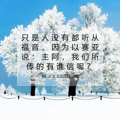 Picture 07 - 罗 马 书 10:16 CUVS - 只 是 人 没 有 都 听 从 福 音 ， 因 - Bible Verse Picture