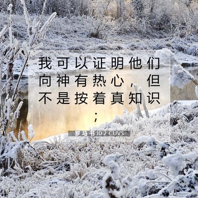 Picture 07 - 罗 马 书 10:2 CUVS - 我 可 以 证 明 他 们 向 神 有 热 心 - Bible Verse Picture