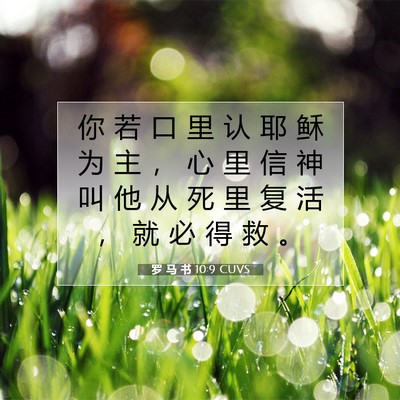 Picture 07 - 罗 马 书 10:9 CUVS - 你 若 口 里 认 耶 稣 为 主 ， 心 里 - Bible Verse Picture
