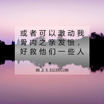 Picture 07 - 罗 马 书 11:14 CUVS - 或 者 可 以 激 动 我 骨 肉 之 亲 发 - Bible Verse Picture