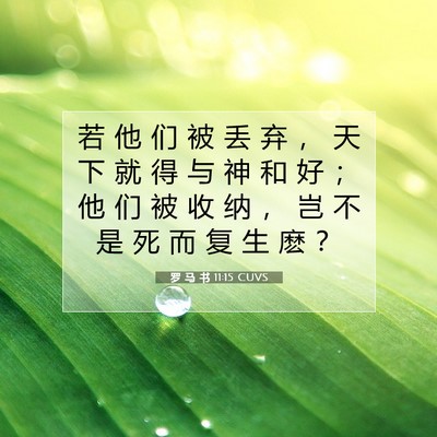 Picture 07 - 罗 马 书 11:15 CUVS - 若 他 们 被 丢 弃 ， 天 下 就 得 与 - Bible Verse Picture