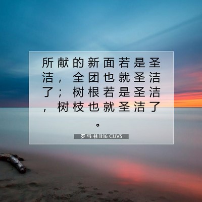Picture 07 - 罗 马 书 11:16 CUVS - 所 献 的 新 面 若 是 圣 洁 ， 全 团 - Bible Verse Picture