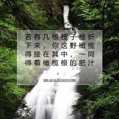 Picture 07 - 罗 马 书 11:17 CUVS - 若 有 几 根 枝 子 被 折 下 来 ， 你 - Bible Verse Picture
