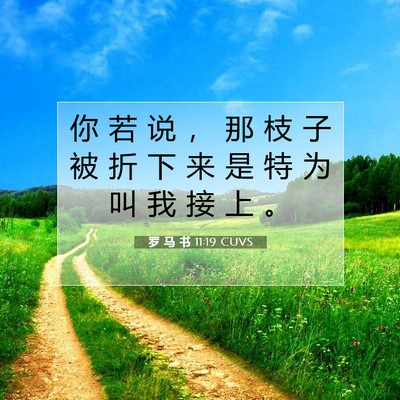 Picture 07 - 罗 马 书 11:19 CUVS - 你 若 说 ， 那 枝 子 被 折 下 来 是 - Bible Verse Picture