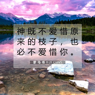 Picture 07 - 罗 马 书 11:21 CUVS - 神 既 不 爱 惜 原 来 的 枝 子 ， 也 - Bible Verse Picture