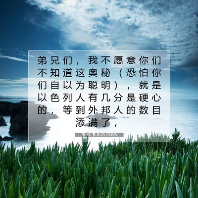 Picture 07 - 罗 马 书 11:25 CUVS - 弟 兄 们 ， 我 不 愿 意 你 们 不 知 - Bible Verse Picture