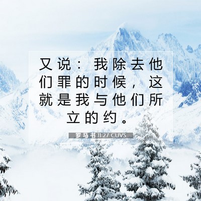 Picture 07 - 罗 马 书 11:27 CUVS - 又 说 ： 我 除 去 他 们 罪 的 时 候 - Bible Verse Picture
