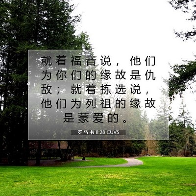Picture 07 - 罗 马 书 11:28 CUVS - 就 着 福 音 说 ， 他 们 为 你 们 的 - Bible Verse Picture
