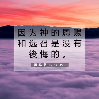 Picture 07 - 罗 马 书 11:29 CUVS - 因 为 神 的 恩 赐 和 选 召 是 没 有 - Bible Verse Picture