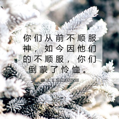 Picture 07 - 罗 马 书 11:30 CUVS - 你 们 从 前 不 顺 服 神 ， 如 今 因 - Bible Verse Picture