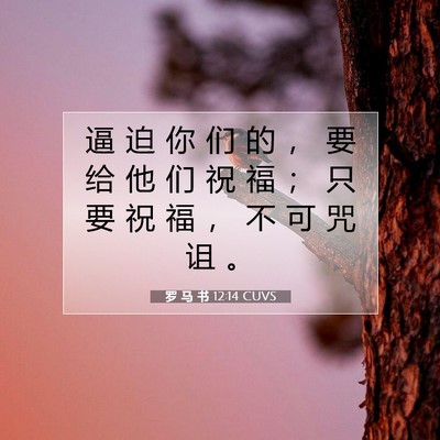 Picture 07 - 罗 马 书 12:14 CUVS - 逼 迫 你 们 的 ， 要 给 他 们 祝 福 - Bible Verse Picture