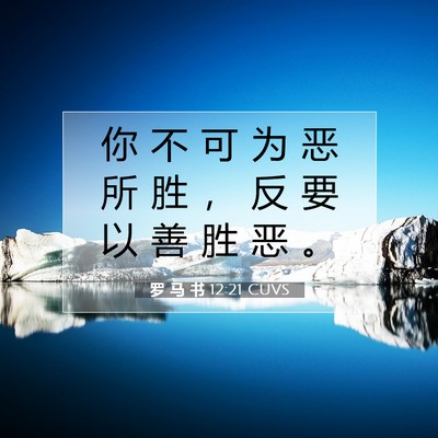 Picture 07 - 罗 马 书 12:21 CUVS - 你 不 可 为 恶 所 胜 ， 反 要 以 善 - Bible Verse Picture