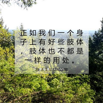Picture 07 - 罗 马 书 12:4 CUVS - 正 如 我 们 一 个 身 子 上 有 好 些 - Bible Verse Picture
