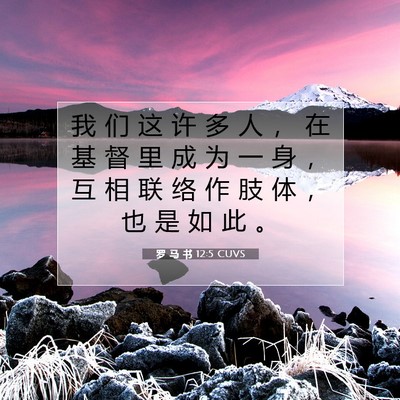 Picture 07 - 罗 马 书 12:5 CUVS - 我 们 这 许 多 人 ， 在 基 督 里 成 - Bible Verse Picture
