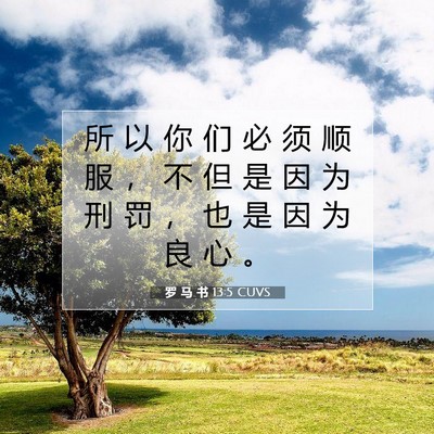 Picture 07 - 罗 马 书 13:5 CUVS - 所 以 你 们 必 须 顺 服 ， 不 但 是 - Bible Verse Picture