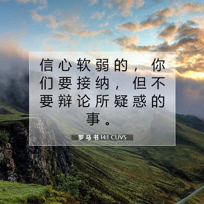 Picture 07 - 罗 马 书 14:1 CUVS - 信 心 软 弱 的 ， 你 们 要 接 纳 ， - Bible Verse Picture