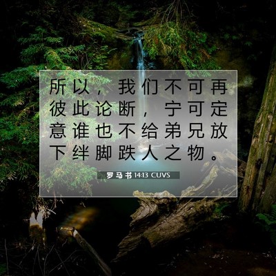 Picture 07 - 罗 马 书 14:13 CUVS - 所 以 ， 我 们 不 可 再 彼 此 论 断 - Bible Verse Picture