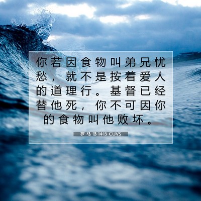 Picture 07 - 罗 马 书 14:15 CUVS - 你 若 因 食 物 叫 弟 兄 忧 愁 ， 就 - Bible Verse Picture