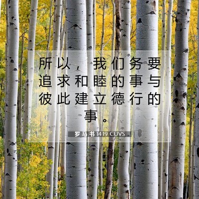 Picture 07 - 罗 马 书 14:19 CUVS - 所 以 ， 我 们 务 要 追 求 和 睦 的 - Bible Verse Picture