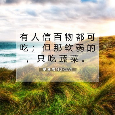 Picture 07 - 罗 马 书 14:2 CUVS - 有 人 信 百 物 都 可 吃 ； 但 那 软 - Bible Verse Picture