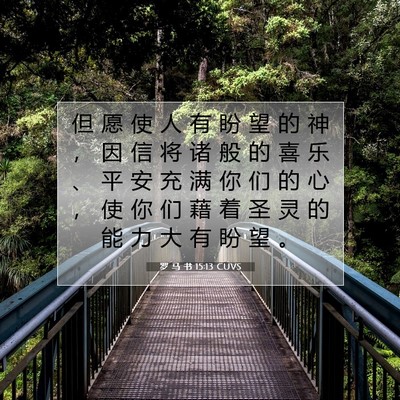 Picture 07 - 罗 马 书 15:13 CUVS - 但 愿 使 人 有 盼 望 的 神 ， 因 信 - Bible Verse Picture