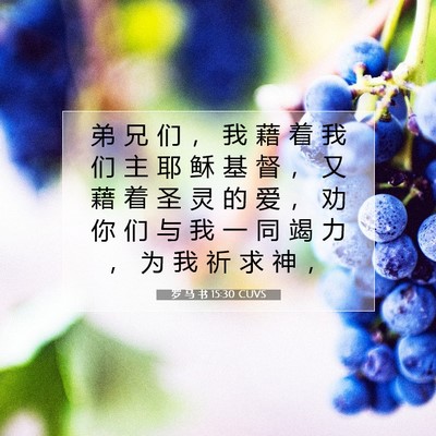 Picture 07 - 罗 马 书 15:30 CUVS - 弟 兄 们 ， 我 藉 着 我 们 主 耶 稣 - Bible Verse Picture