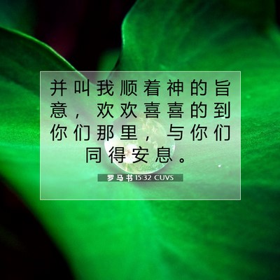 Picture 07 - 罗 马 书 15:32 CUVS - 并 叫 我 顺 着 神 的 旨 意 ， 欢 欢 - Bible Verse Picture