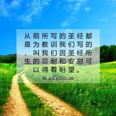 Picture 07 - 罗 马 书 15:4 CUVS - 从 前 所 写 的 圣 经 都 是 为 教 训 - Bible Verse Picture