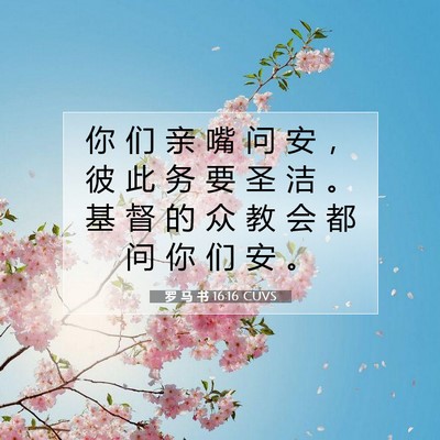 Picture 07 - 罗 马 书 16:16 CUVS - 你 们 亲 嘴 问 安 ， 彼 此 务 要 圣 - Bible Verse Picture