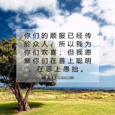 Picture 07 - 罗 马 书 16:19 CUVS - 你 们 的 顺 服 已 经 传 於 众 人 ， - Bible Verse Picture