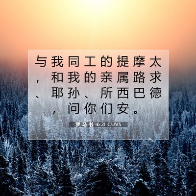 Picture 07 - 罗 马 书 16:21 CUVS - 与 我 同 工 的 提 摩 太 ， 和 我 的 - Bible Verse Picture