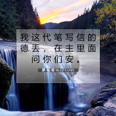 Picture 07 - 罗 马 书 16:22 CUVS - 我 这 代 笔 写 信 的 德 丢 ， 在 主 - Bible Verse Picture