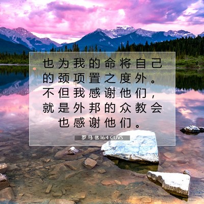 Picture 07 - 罗 马 书 16:4 CUVS - 也 为 我 的 命 将 自 己 的 颈 项 置 - Bible Verse Picture