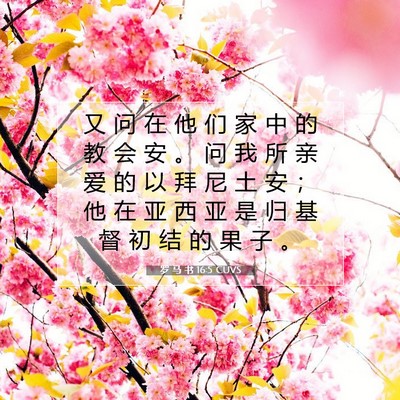 Picture 07 - 罗 马 书 16:5 CUVS - 又 问 在 他 们 家 中 的 教 会 安 。 - Bible Verse Picture