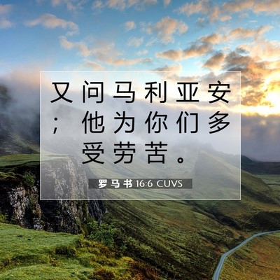 Picture 07 - 罗 马 书 16:6 CUVS - 又 问 马 利 亚 安 ； 他 为 你 们 多 - Bible Verse Picture