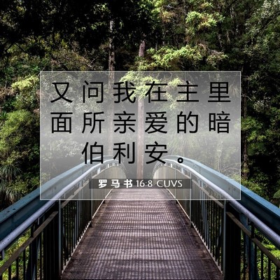 Picture 07 - 罗 马 书 16:8 CUVS - 又 问 我 在 主 里 面 所 亲 爱 的 暗 - Bible Verse Picture