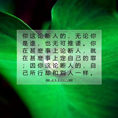 Picture 07 - 罗 马 书 2:1 CUVS - 你 这 论 断 人 的 ， 无 论 你 是 谁 - Bible Verse Picture