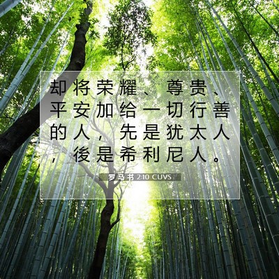 Picture 07 - 罗 马 书 2:10 CUVS - 却 将 荣 耀 、 尊 贵 、 平 安 加 给 - Bible Verse Picture