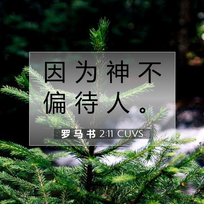 Picture 07 - 罗 马 书 2:11 CUVS - 因 为 神 不 偏 待 人 - Bible Verse Picture
