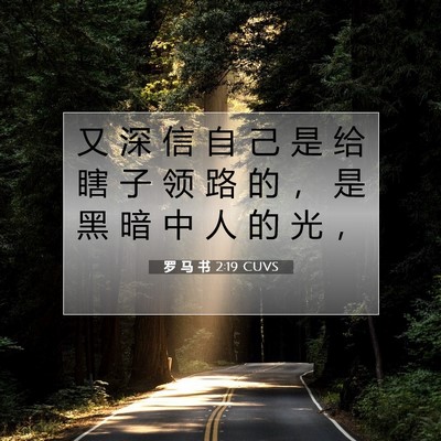 Picture 07 - 罗 马 书 2:19 CUVS - 又 深 信 自 己 是 给 瞎 子 领 路 的 - Bible Verse Picture