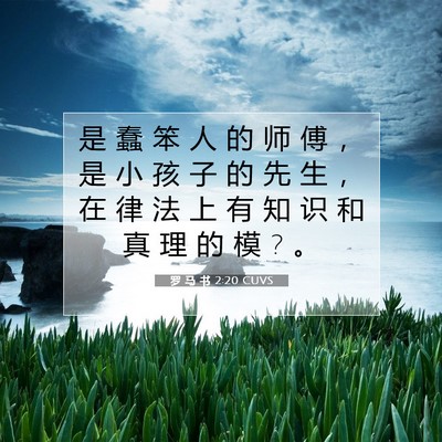 Picture 07 - 罗 马 书 2:20 CUVS - 是 蠢 笨 人 的 师 傅 ， 是 小 孩 子 - Bible Verse Picture