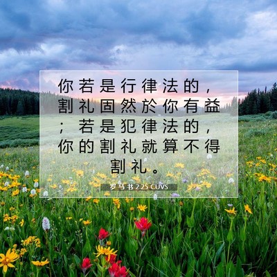 Picture 07 - 罗 马 书 2:25 CUVS - 你 若 是 行 律 法 的 ， 割 礼 固 然 - Bible Verse Picture