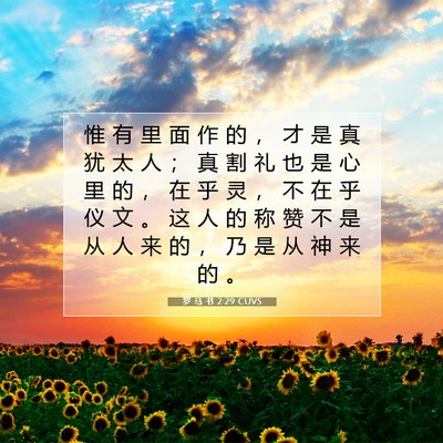 Picture 07 - 罗 马 书 2:29 CUVS - 惟 有 里 面 作 的 ， 才 是 真 犹 太 - Bible Verse Picture
