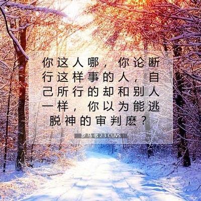 Picture 07 - 罗 马 书 2:3 CUVS - 你 这 人 哪 ， 你 论 断 行 这 样 事 - Bible Verse Picture